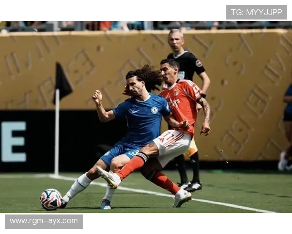 安特卫普赛场精彩瞬间：惊险逆转与精彩进攻交织